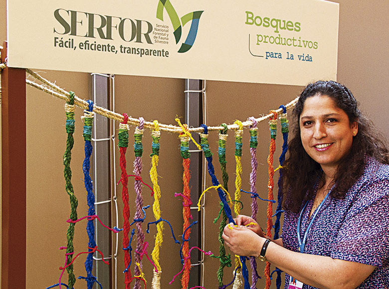 Activaciones y Lanzamientos