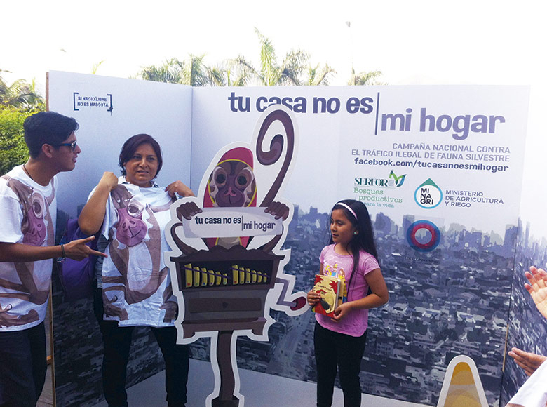 Activaciones y Lanzamientos